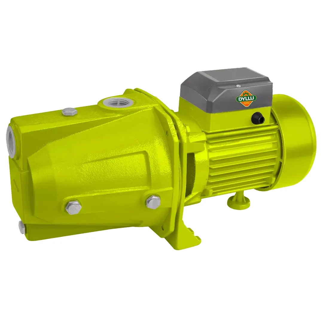 POMPE-A-EAU-DYLLU-1HP-750W-DOUBLE-TURBINE.webp