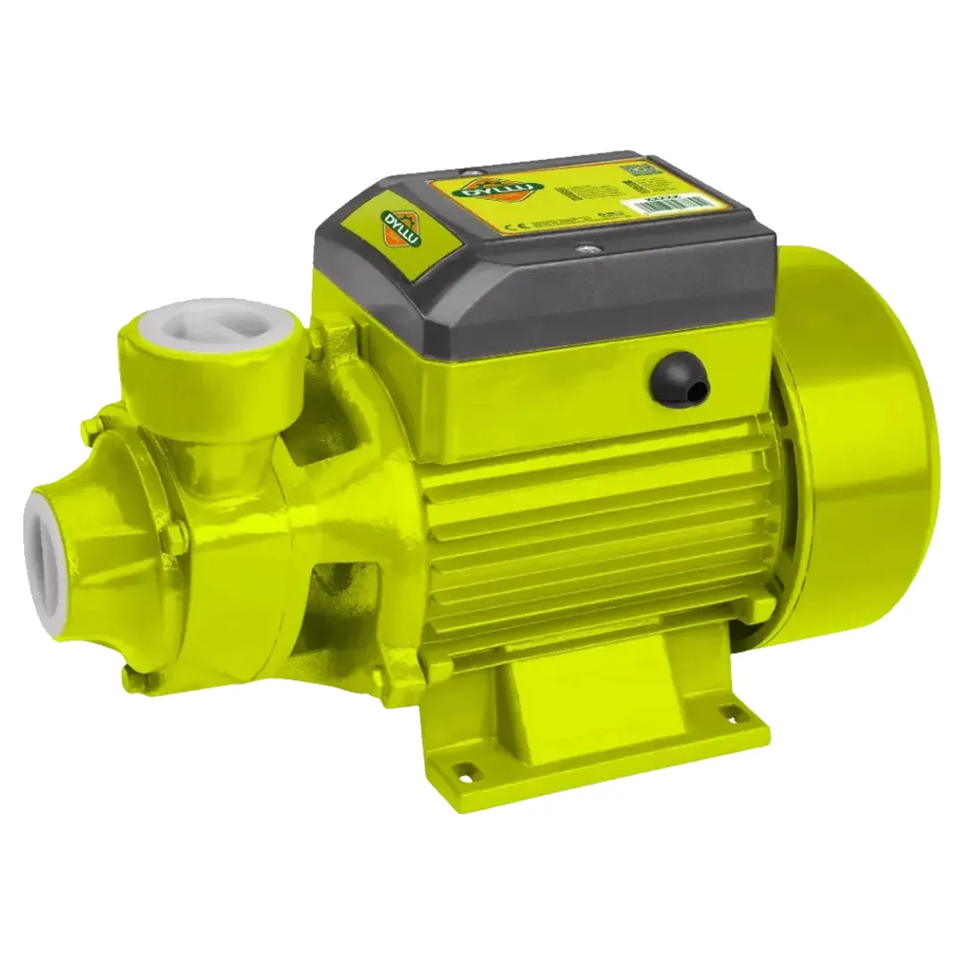 POMPE-A-EAU-DYLLU-1HP-750W.webp